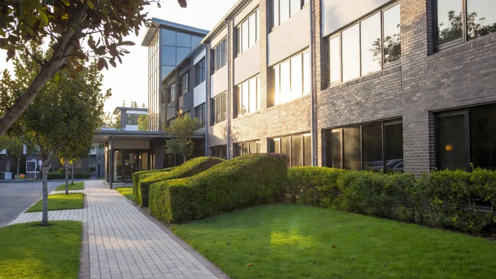 Modern office walkway with hedges at sunset